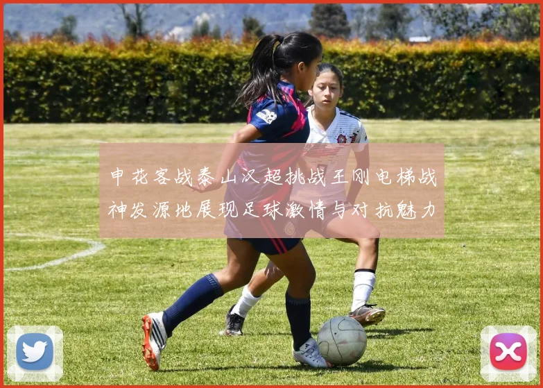申花客战泰山汉超挑战王刚电梯战神发源地展现足球激情与对抗魅力